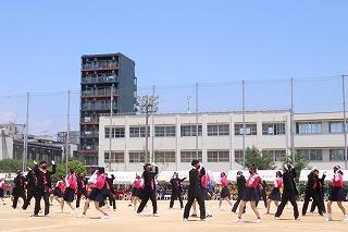 IMG_9472.jpg