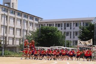 IMG_9494.jpg