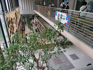 IMG_9538.jpg