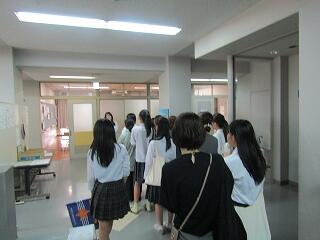 IMG_9545.jpg
