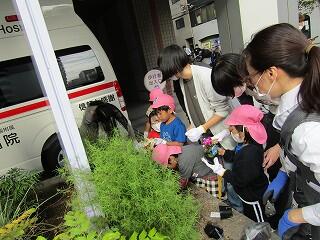 IMG_9728.jpg