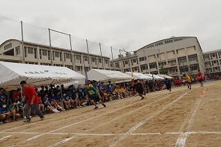 _MG_0703.jpg