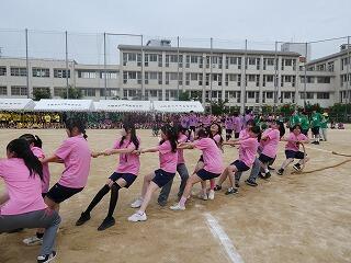 P1000154.jpg