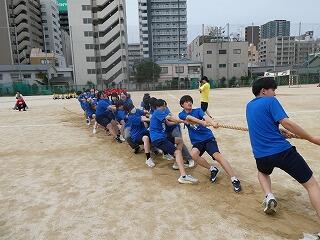 P1000158.jpg