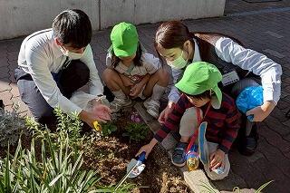 s-20251029愛染橋病院花苗 (7).jpg