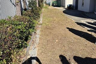 s-20241109清掃ダンス部 (3).jpg