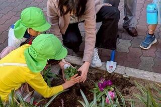 s-20251029愛染橋病院花苗 (4).jpg