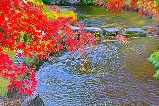 s-20251129書写山好古園明石 (41).jpg