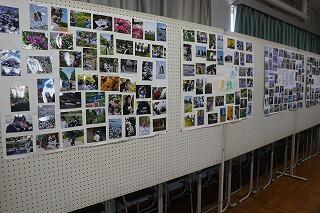 s-20250906文化祭② (59).jpg