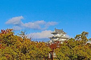 s-20251129書写山好古園明石 (54).jpg