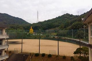 s-20251113山口大会防府西高校 (8).jpg