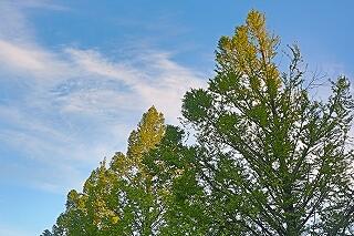 s-20240726morning (9).jpg