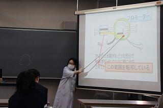 s-20241111 (12).jpg