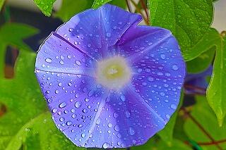 s-20250822 (7).jpg