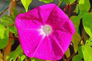 s-20250822 (8).jpg
