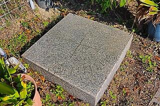 s-IMG_2911.jpg