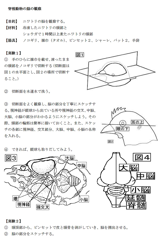 0204_3_seibutu_pri.jpg