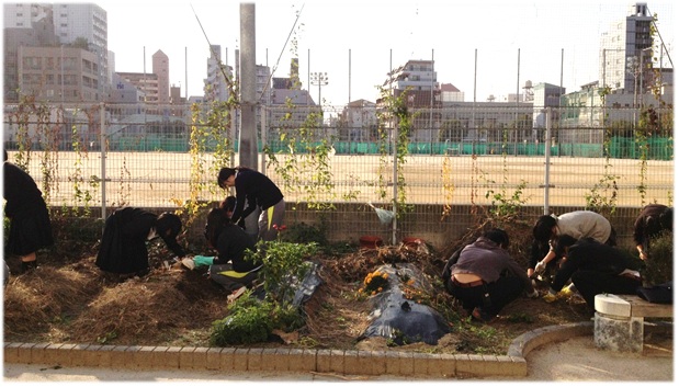 芋掘り１.jpg