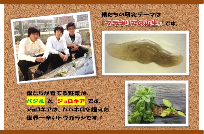 １班.jpg
