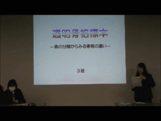 ３班発表.png