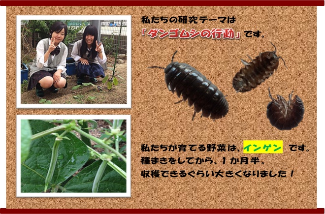 ４班.jpg