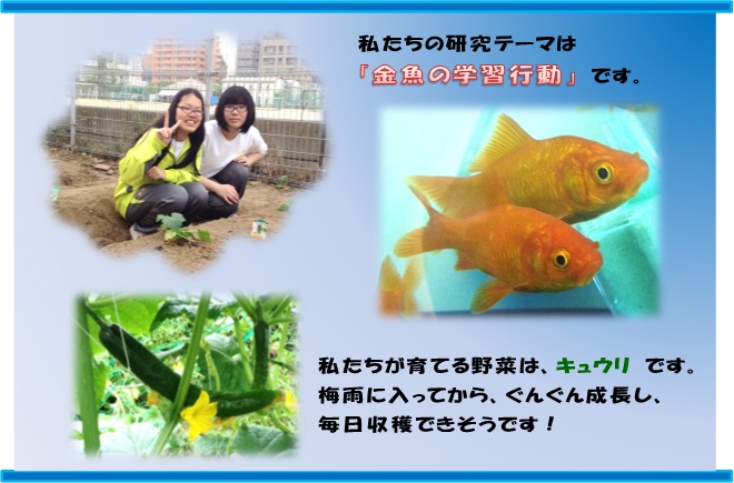 ５班.jpg