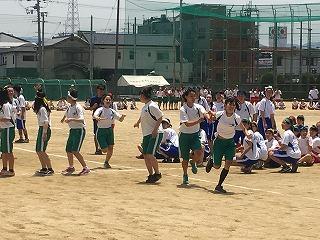 IMG_4453.jpg