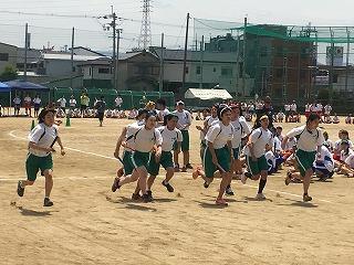 IMG_4447.jpg