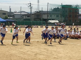IMG_4429.jpg