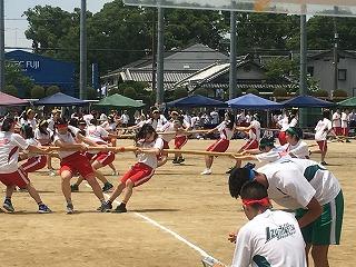 IMG_4399.jpg