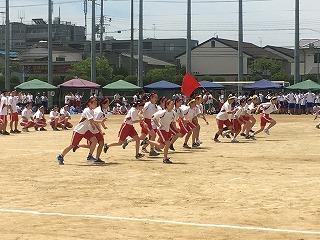 IMG_4398.jpg