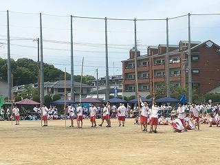 IMG_4397.jpg