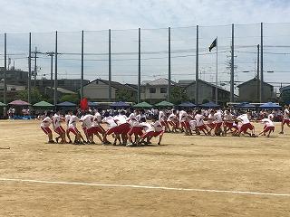 IMG_4396.jpg
