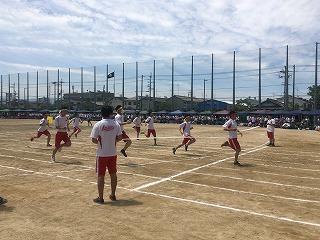IMG_4368.jpg