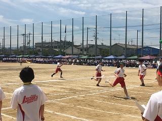 IMG_4356.jpg