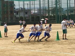 IMG_4345.jpg