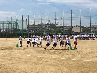 IMG_4343.jpg