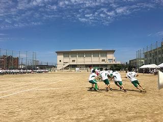 IMG_4327.jpg