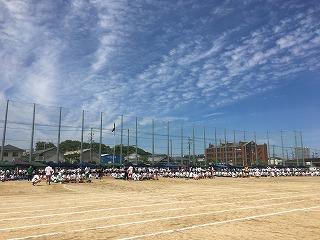 IMG_4324.jpg