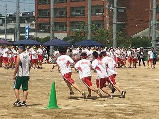 IMG_4312.jpg