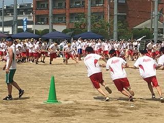 IMG_4311.jpg
