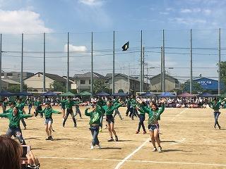 IMG_4303.jpg