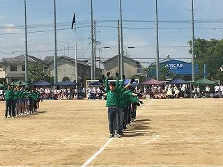 IMG_4295.jpg