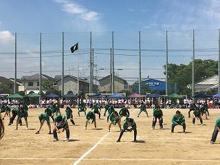 IMG_4289.jpg
