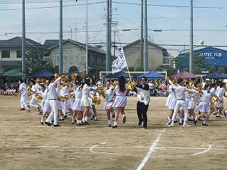 IMG_4242.jpg