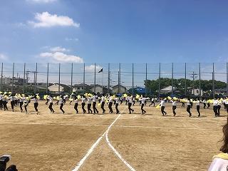 IMG_4234.jpg
