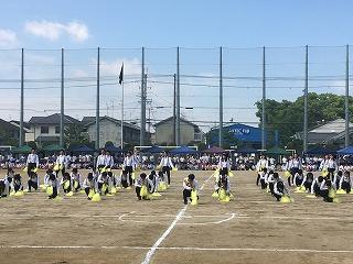 IMG_4219.jpg