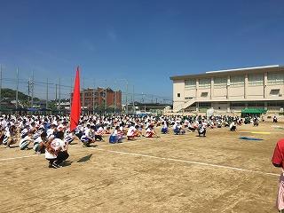 IMG_4196.jpg