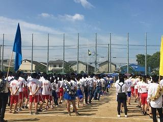 IMG_4190.jpg