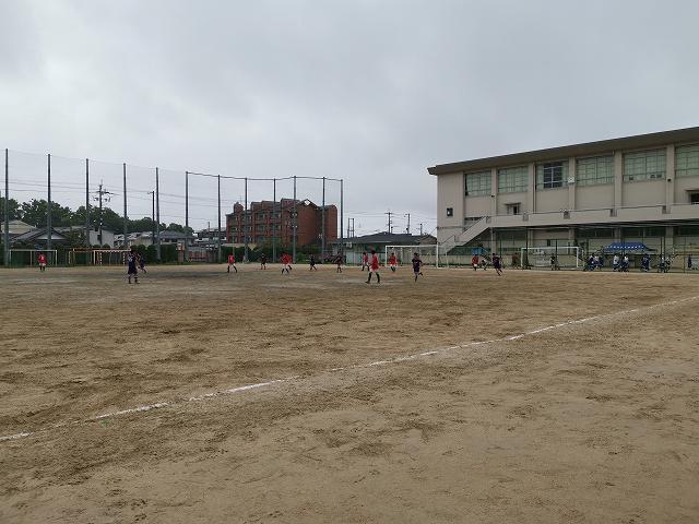 IMG_20190727_095116.jpg